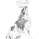 Illustration for article titled The Dogs That Have Obsessive-Compulsive Disorders